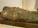 ginocchio di mummia (forse della regina nefertiti)